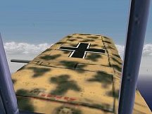 HR 109 Tropical wing