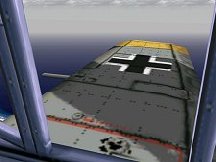 HR 109e yellow tipped wing