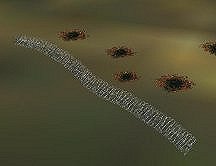 HR Barbed Wire