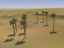 Group HR Palm Trees