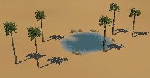 Desert Oasis