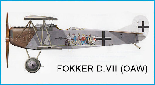 header.jpg